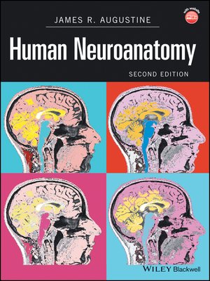 cover image of Human Neuroanatomy